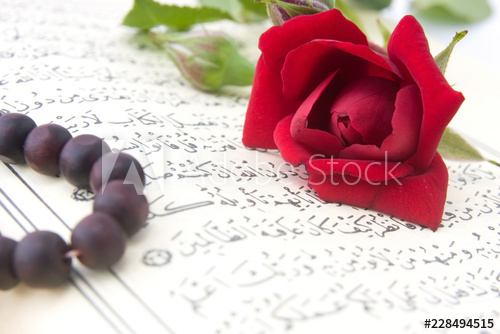 bunga, bunga mawar, tasbih,daun,qur'an