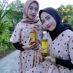 jual sarang madu murni asli, jual sarang madu sidoarjo, jual sarang madu solo, jual saarang madu seluruh indonesia